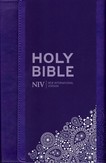 Purple Thinline Bible (NIV)