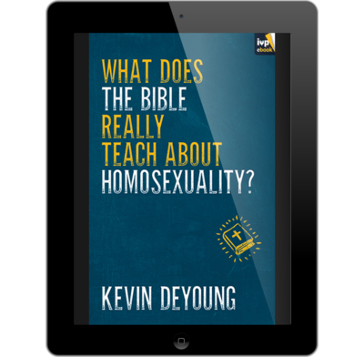 What the Bible Really Says about Homosexuality by Daniel A. Helminiak
