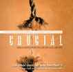 Bible-Centred Youthworker 2007: Crucial