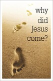 Why did Jesus come? (Access for All)