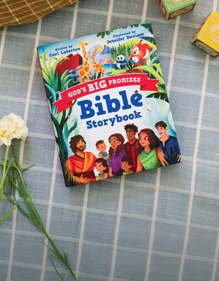 Photograph of God's Big Promises Bible Storybook
