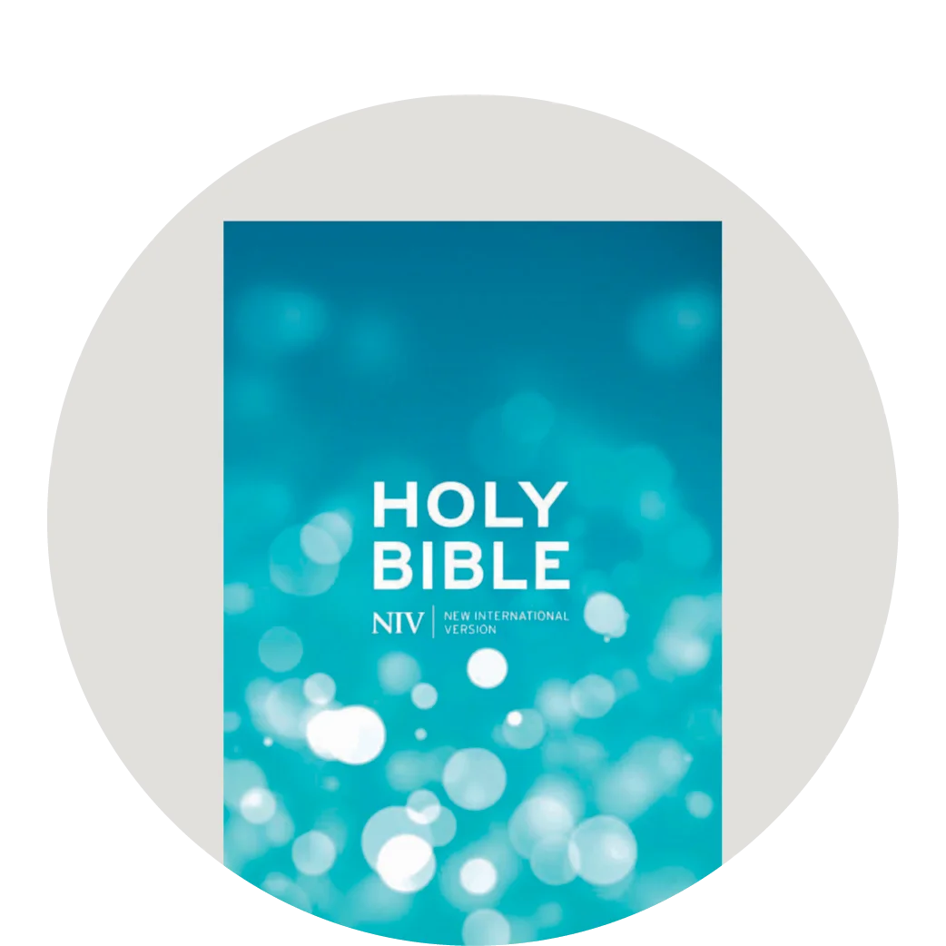 image of blue NIV Bible