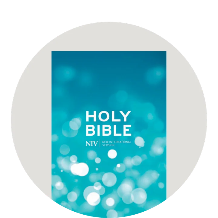 image of blue NIV Bible