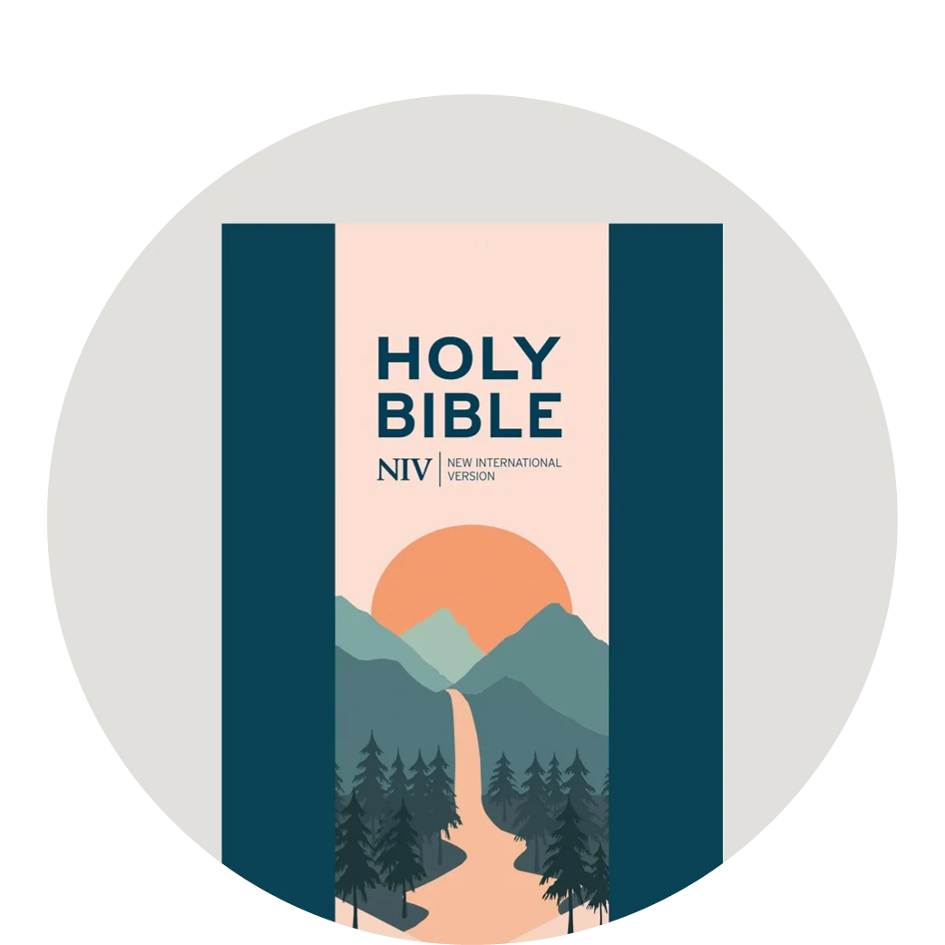 Graphic featuring Holy Bible NIV in blue, featuring illustrated mountain scene on packaging