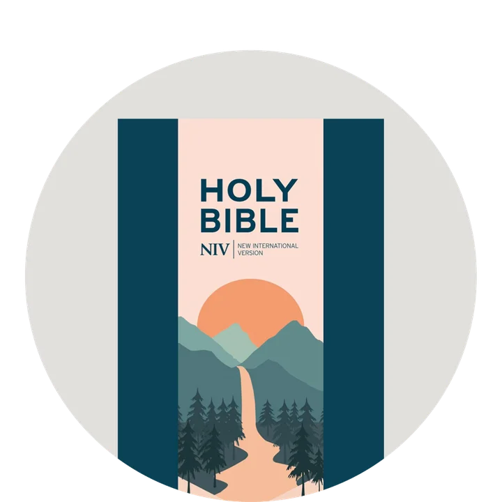 Graphic featuring Holy Bible NIV in blue, featuring illustrated mountain scene on packaging