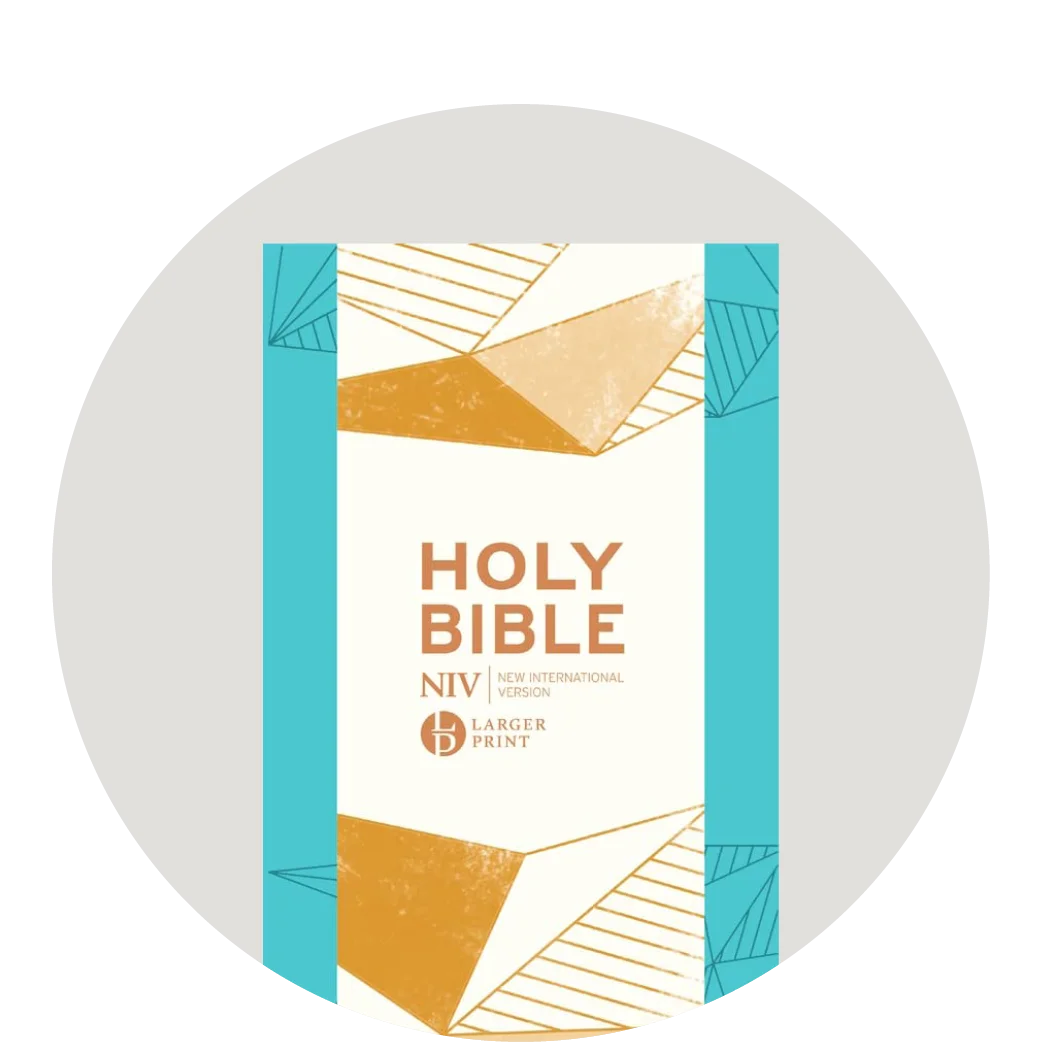 Grapic featuring a teal NIV Bible with geometric decoration