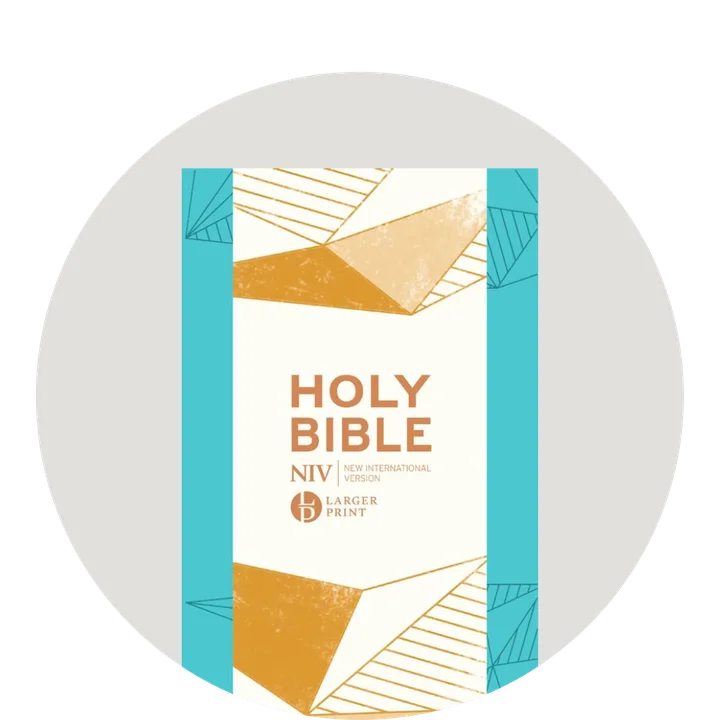 Grapic featuring a teal NIV Bible with geometric decoration