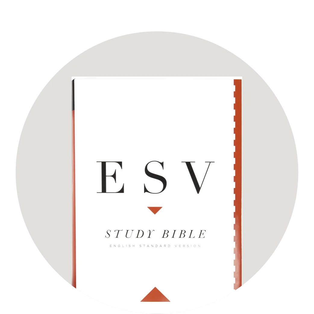 photograph of Wherever You Go, I Want You to know propped up on a wooden table near a ceramic lamp