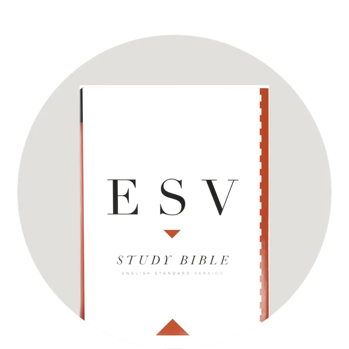 photograph of Wherever You Go, I Want You to know propped up on a wooden table near a ceramic lamp