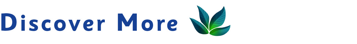 Graphic header for "Discover More" section