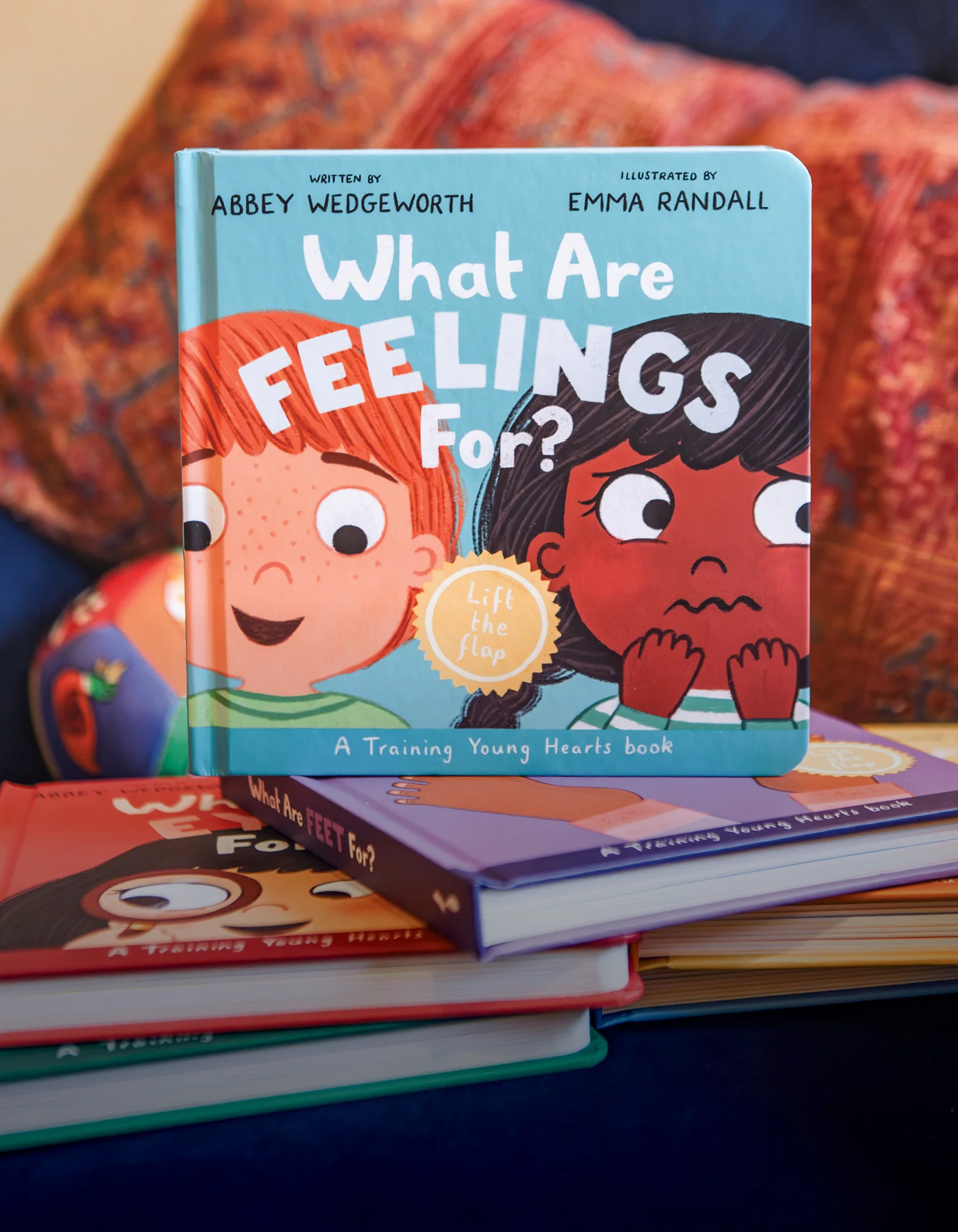 Photograph of What Are Feelings For? board book