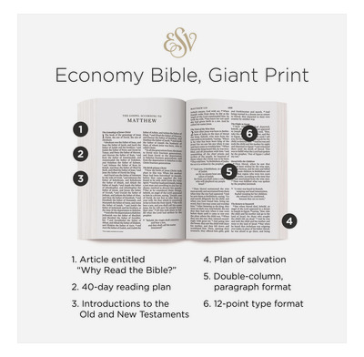 giant print esv bible