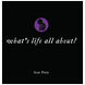 Little Black Book: What's Life All About?