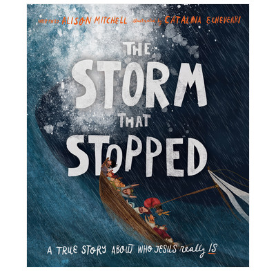 The Storm That Stopped Storybook (ebook)
