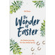 The Wonder of Easter (ebook)